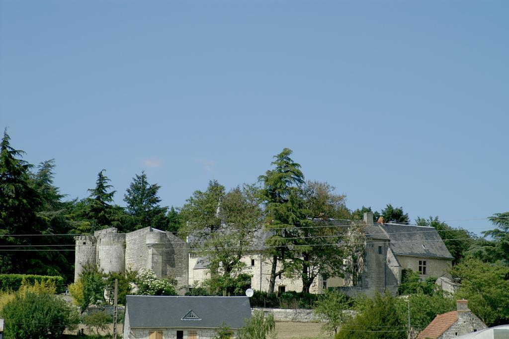 Chateau De La Roche Martel Bed and Breakfast Roiffé Exteriör bild
