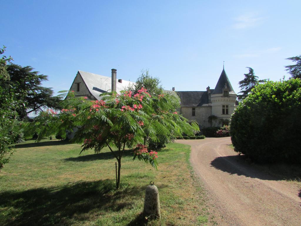 Chateau De La Roche Martel Bed and Breakfast Roiffé Exteriör bild